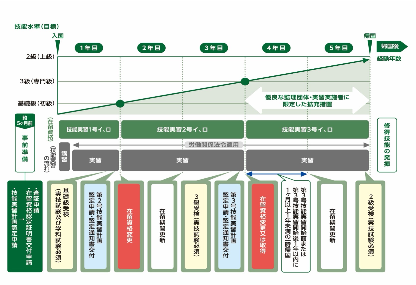 実習の流れ・受入年数